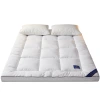 Five-star hotel homestay mattresses, home cushions, student dormitory soft cushions, single tatami MATS thickened by 10cm Item Picture
